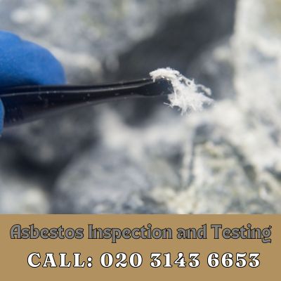 Comprehensive Asbestos Inspection and Testing Services in West Hampstead